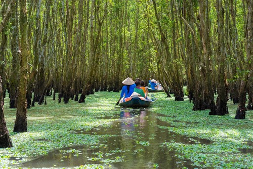 Traveller: Mekong-Delta ist attraktivstes Besuchsziel der Welt - ảnh 1