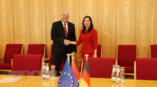 Strategischer Dialog auf Vizeministerebene zwischen Vietnam und Deutschland - ảnh 1