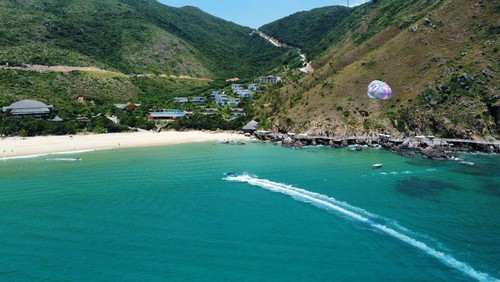 Internationales Heißluftballon-Fest in Quy Nhon - ảnh 1