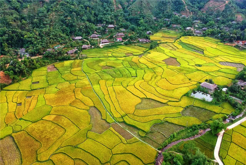 Das Fest „Gelbe Farbe am Nam Luong-Fluss” in Lao Cai - ảnh 1