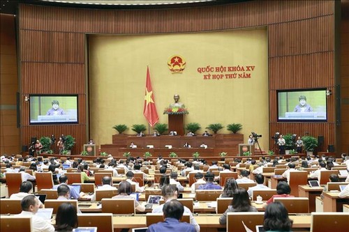 Angemessene Investitionen in lokale Gesundheitsstationen und Präventivmedizin  - ảnh 1