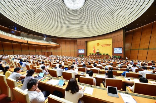 Aufsicht des Parlaments auf Verwendung von Ressourcen für Covid-19-Bekämpfung - ảnh 1