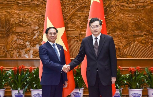 Vietnam achtet auf umfassende strategische Partnerschaft mit China - ảnh 1