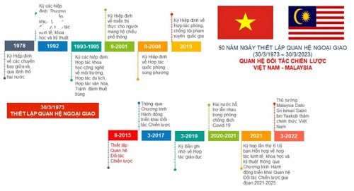 Vietnam und Malaysia verstärken die strategische Partnerschaft - ảnh 1