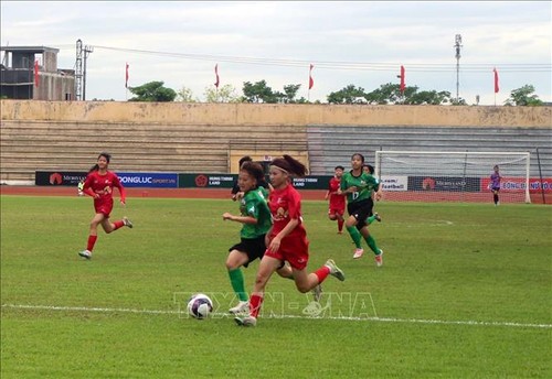 Freundschaftsspiele zwischen Fußballteam Phong Phu Ha Nam und Auswahl aus Japan - ảnh 1