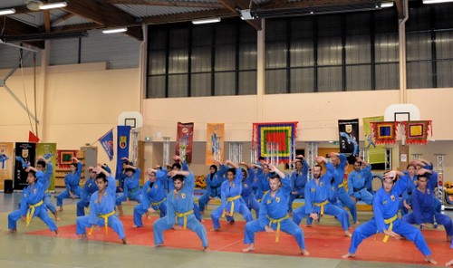 Vietnams Drachentanz und Kampfkunst in Frankreich  - ảnh 1