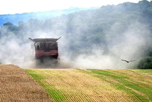 EU schlägt Schutzmaßnahmen zur Verhinderung der Marktstörungen durch Ukraine vor - ảnh 1