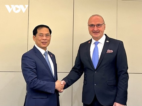 Zusammenarbeit Vietnams mit OECD, Laos, Kroatien, Litauen, Marokko und Peru verstärkt - ảnh 2