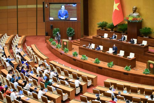 Rechte der Arbeitnehmerinnen bei Krankheit und Schwangerschaft erhöht - ảnh 1