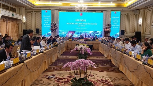 Mechanismen und Politik zur Entwicklung von Hochland Tay Nguyen aufbauen - ảnh 1