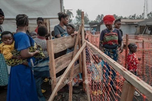 Afrika plant Impfung gegen das Mpox-Virus - ảnh 1