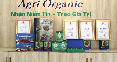 Binh Dinh verbessert die Qualität der OCOP-Produkte - ảnh 3