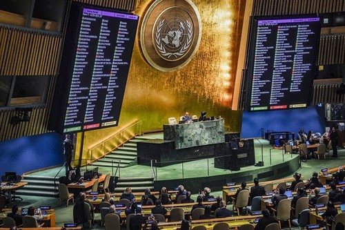 Die Vereinten Nationen streben Reform und Gestaltung einer neuen Zukunft an - ảnh 1