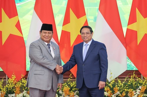 Premierminister Pham Minh Chinh empfängt den designierten Präsident Indonesiens - ảnh 1