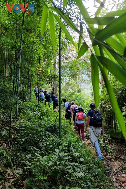 Reise zur Wolkenjagd auf Ky Quan San-Bach Moc Luong Tu-Gipfel - ảnh 5