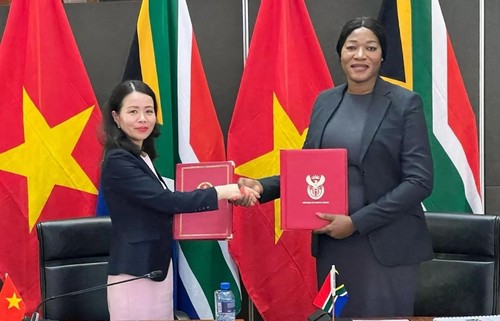 Traditionelle Freundschaft zwischen Vietnam und Südafrika auf neues Niveau aufwertet - ảnh 1