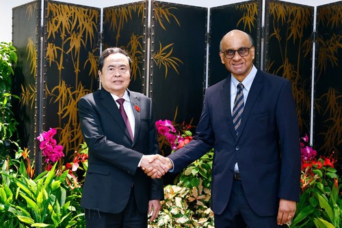 Parlamentspräsident Tran Thanh Man beendet den Besuch in Singapur - ảnh 1