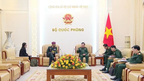 Zusammenarbeit bei der Verteidigung zwischen Vietnam und Indien verstärken - ảnh 1