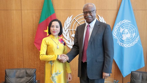 Vietnam unterstützt die zentrale Rolle der UNO in Koordinierung globaler Bemühungen - ảnh 2