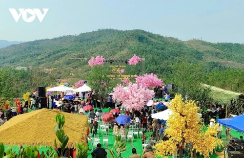 Einzigartiges Kirschblüte-Fest in Quang Ninh - ảnh 1