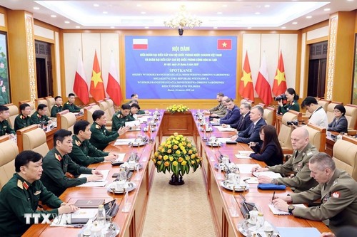 Zusammenarbeit zwischen Vietnam und Polen in Verteidigung verstärkt - ảnh 1