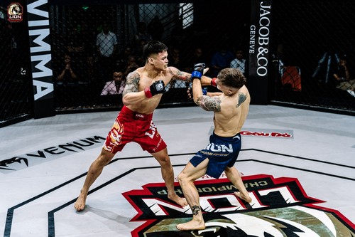 MMA Lion Championship 25 wird in Cam Ranh stattfinden - ảnh 1