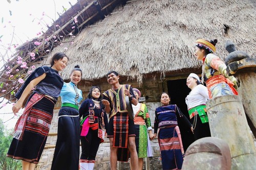 Kulturaktivitäten im Mai „Onkel Ho mit Gemeinschaft vietnamesischer Volksgruppen“ - ảnh 1