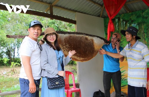 Besuch im Wald U Minh Ha in der Kappe Ca Mau - ảnh 1