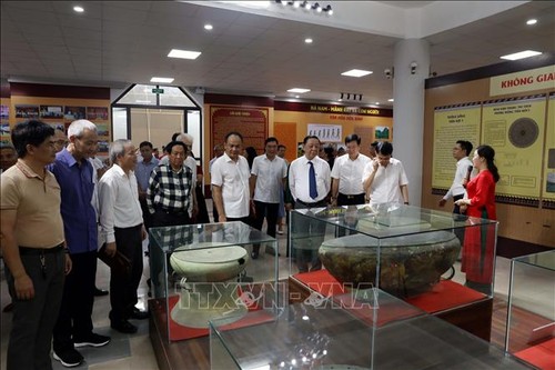 Ausstellung „Quintessenz der Antiquitäten von Ha Nam“ - ảnh 1