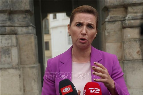 Dänemark setzt Prioritäten für seine EU-Ratspräsidentschaft - ảnh 1