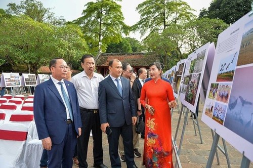Kunstausstellung „Vaterland: 80 Jahre des Herbsts der Unabhängigkeit” im Literaturtempel  - ảnh 1