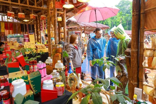 Thang Long-Hanoi-Festival 2025: Ehrung der Werte des Erbes - ảnh 1