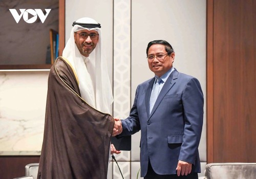 Vietnam und Kuwait arbeiten bei Umsetzung bilateraler Projekte zusammen - ảnh 1