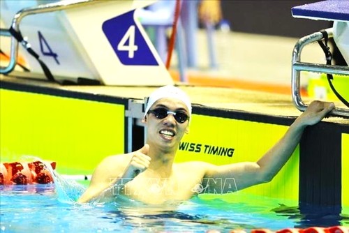 SEA Games 33: Vietnams Schwimmmannschaft wird in 41 Disziplinen antreten - ảnh 1