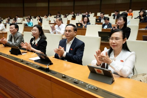Das Parlament stimmt dem Bau vom internationalen Fünf-Sterne-Flughafen in Bac Ninh zu - ảnh 1