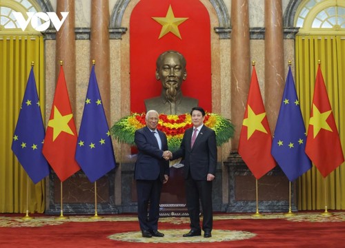 Staatspräsident Luong Cuong: Vietnam-EU-Beziehungen entwickeln sich positiv und umfassend - ảnh 1