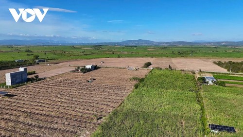 Digitale Transformation in der Landwirtschaft in der Provinz Gia Lai - ảnh 2