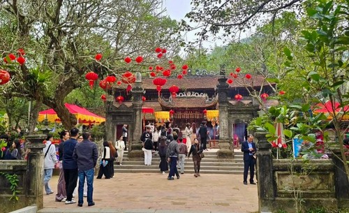 Das Giong-Fest 2026 zieht mehr als 45.000 Besucher an  - ảnh 1