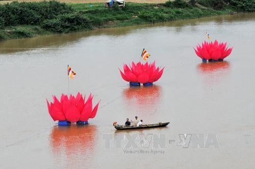 Buddha’s birthday inspires charity work - ảnh 1