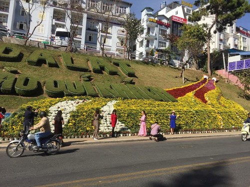 2019 Da Lat Flower Festival kicks off - ảnh 3