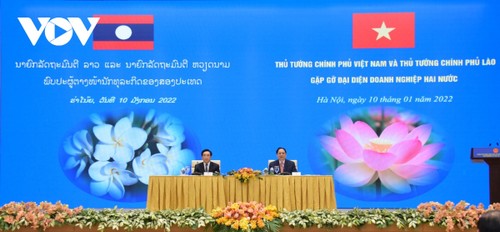 Vietnamese, Lao PMs meet business community - ảnh 1