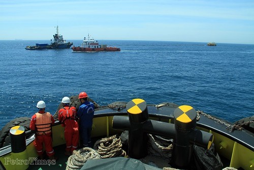 Petrovietnam pioneers environmental protection  - ảnh 1