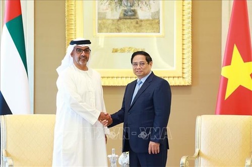 PM calls on UAE groups to increase investment in Vietnam  - ảnh 2