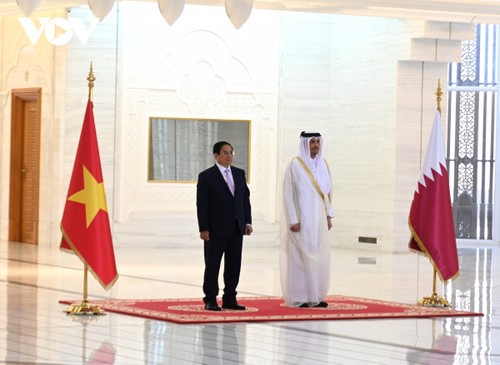 Vietnam, Qatar issue joint communiqué - ảnh 1