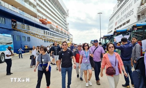 Cruise ship arrivals to Quang Ninh pick up - ảnh 1