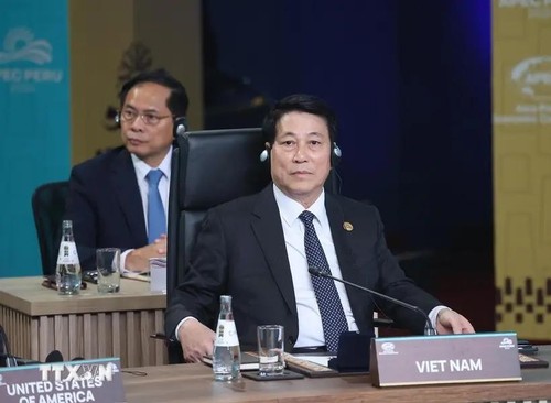 State President meets leaders of economies at APEC Leaders’ Week - ảnh 1