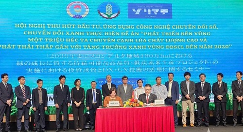 Digital and green transformation needed for high-quality, low-emission rice cultivation     - ảnh 1