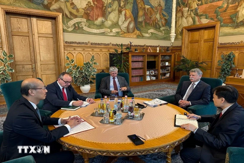 Hungary wishes to strengthen parliamentary cooperation with Vietnam - ảnh 1