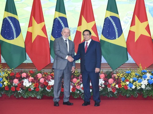 Vietnam, Brazil advance strategic partnership - ảnh 1
