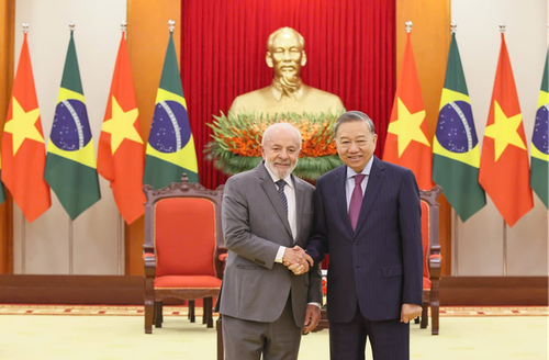 Vietnam, Brazil  celebrate ties with expanded cooperation agenda - ảnh 1